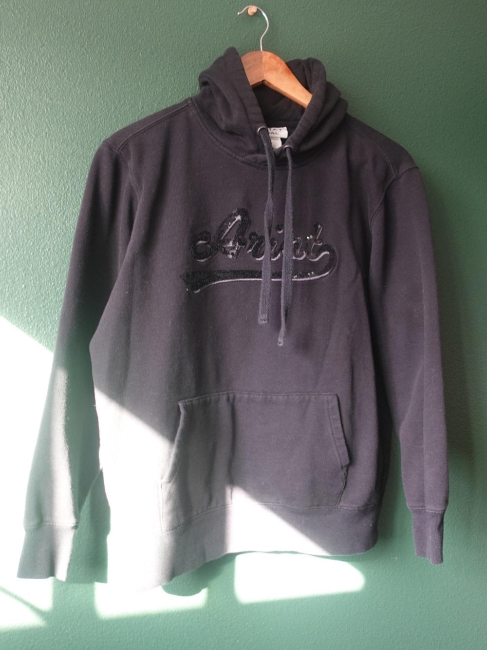 The Ariat Hoodie for women in size L